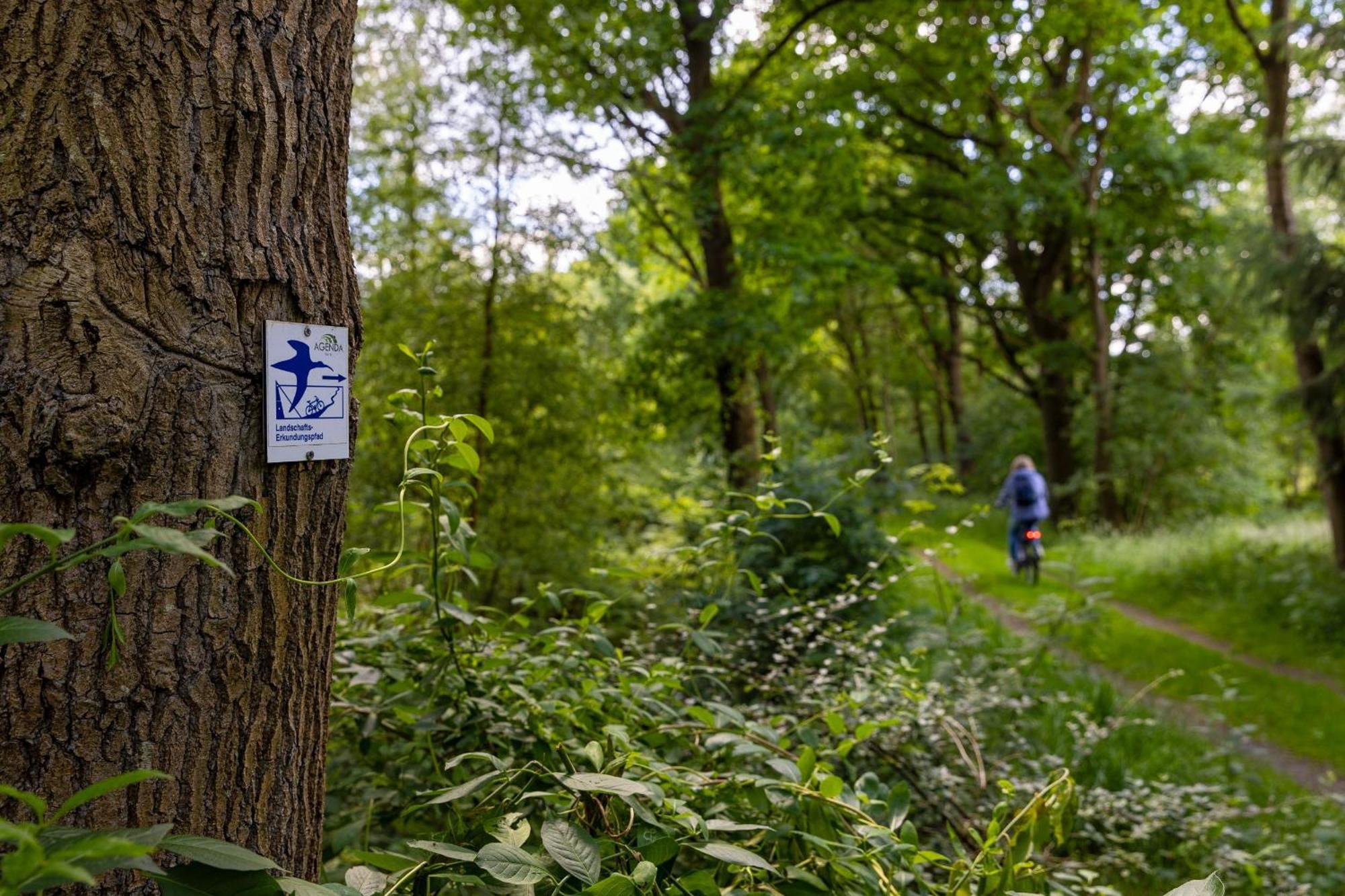 Ferienhaus Liegeplatz Dangast Bagian luar foto